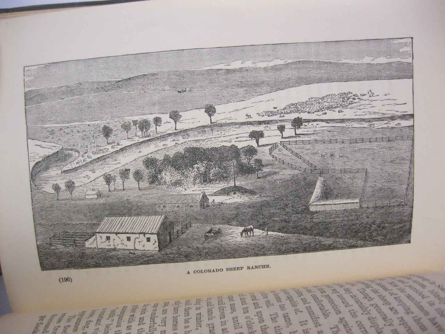 Colorado as an Agricultural State; its Farms, Fields, and Garden Lands by William E. Pabor