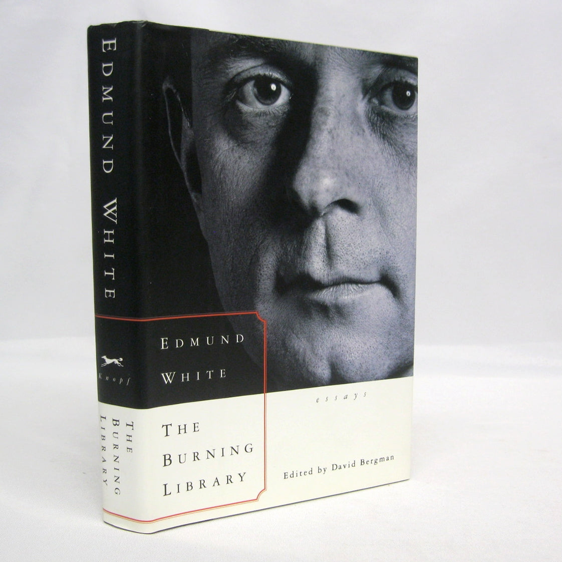 The Burning Library, essays by Edmund White