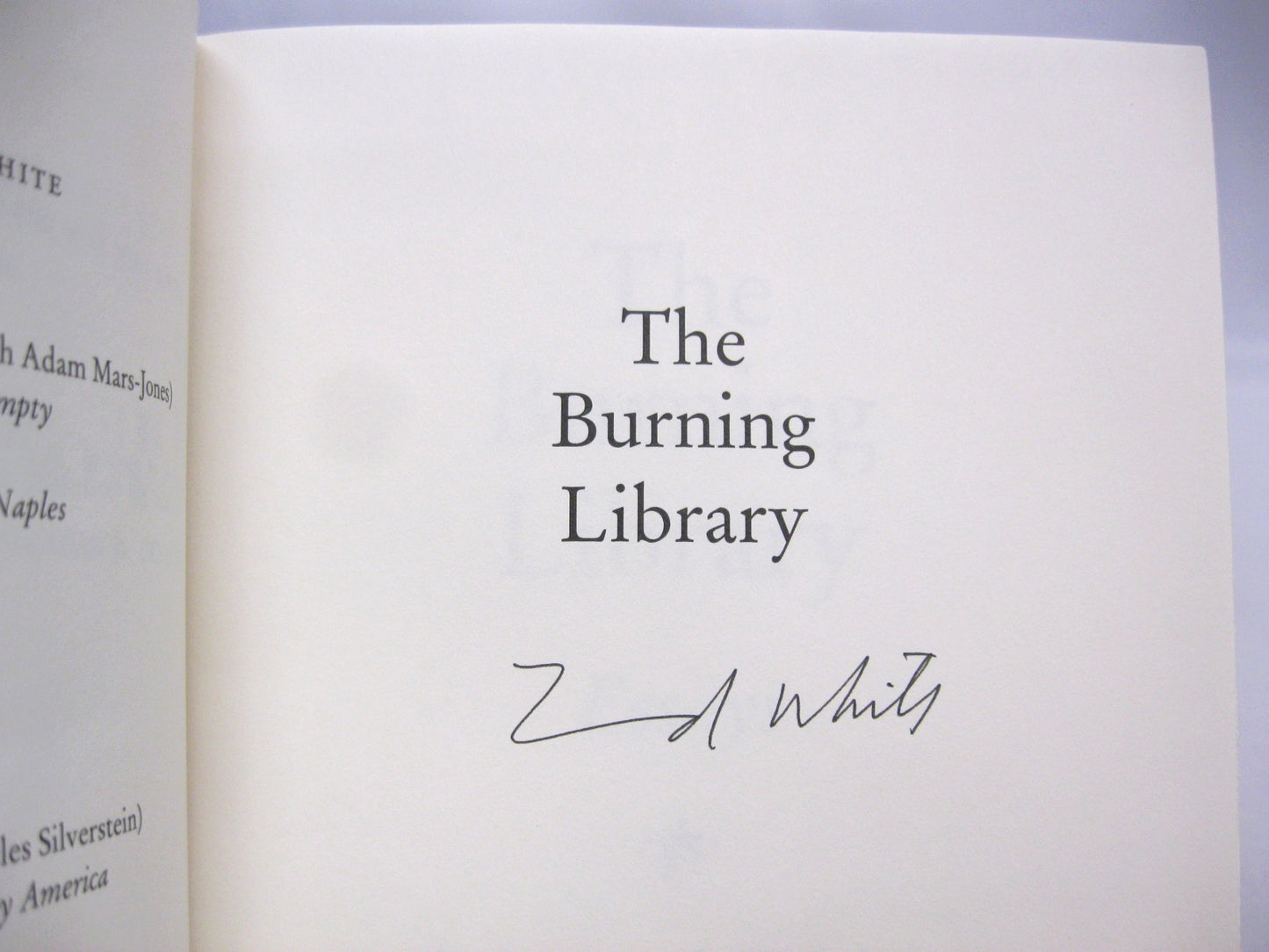 The Burning Library, essays by Edmund White