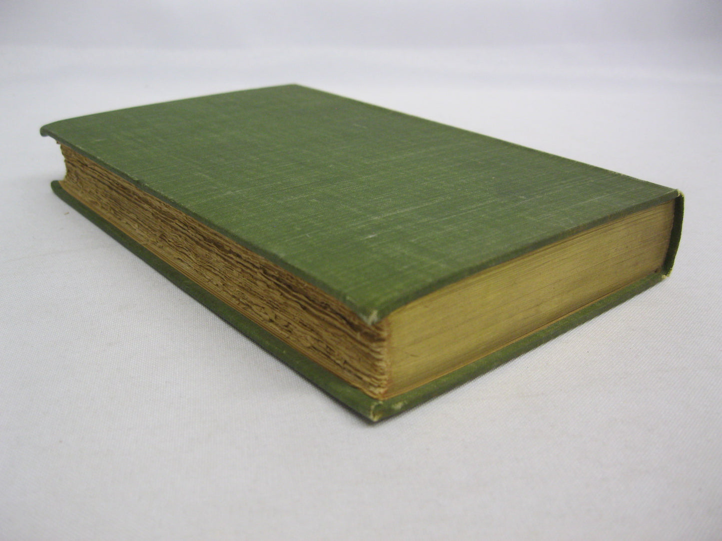 Literary & Social Essays by George William Curtis