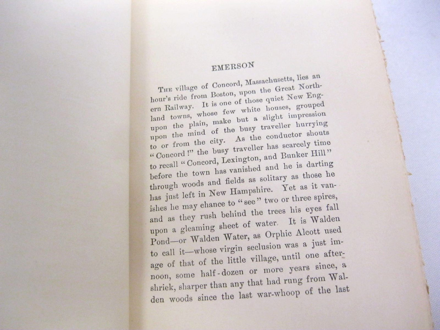 Literary & Social Essays by George William Curtis