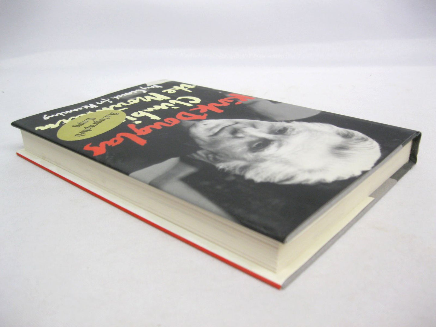 Climbing the Mountain: My Search for Meaning by Kirk Douglas
