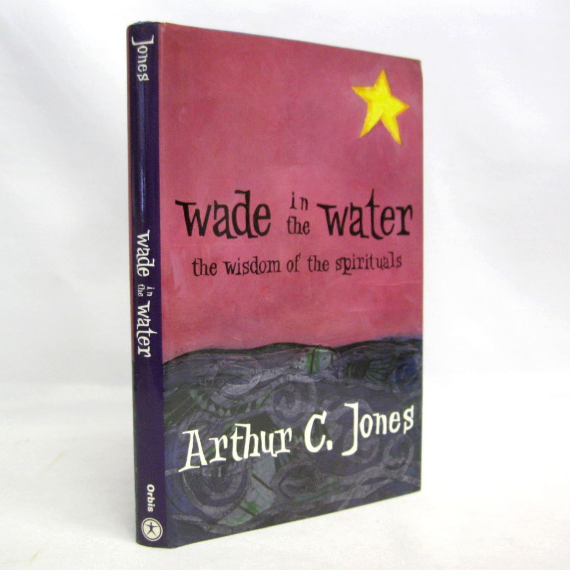 Wade In The Water by Arthur C Jones