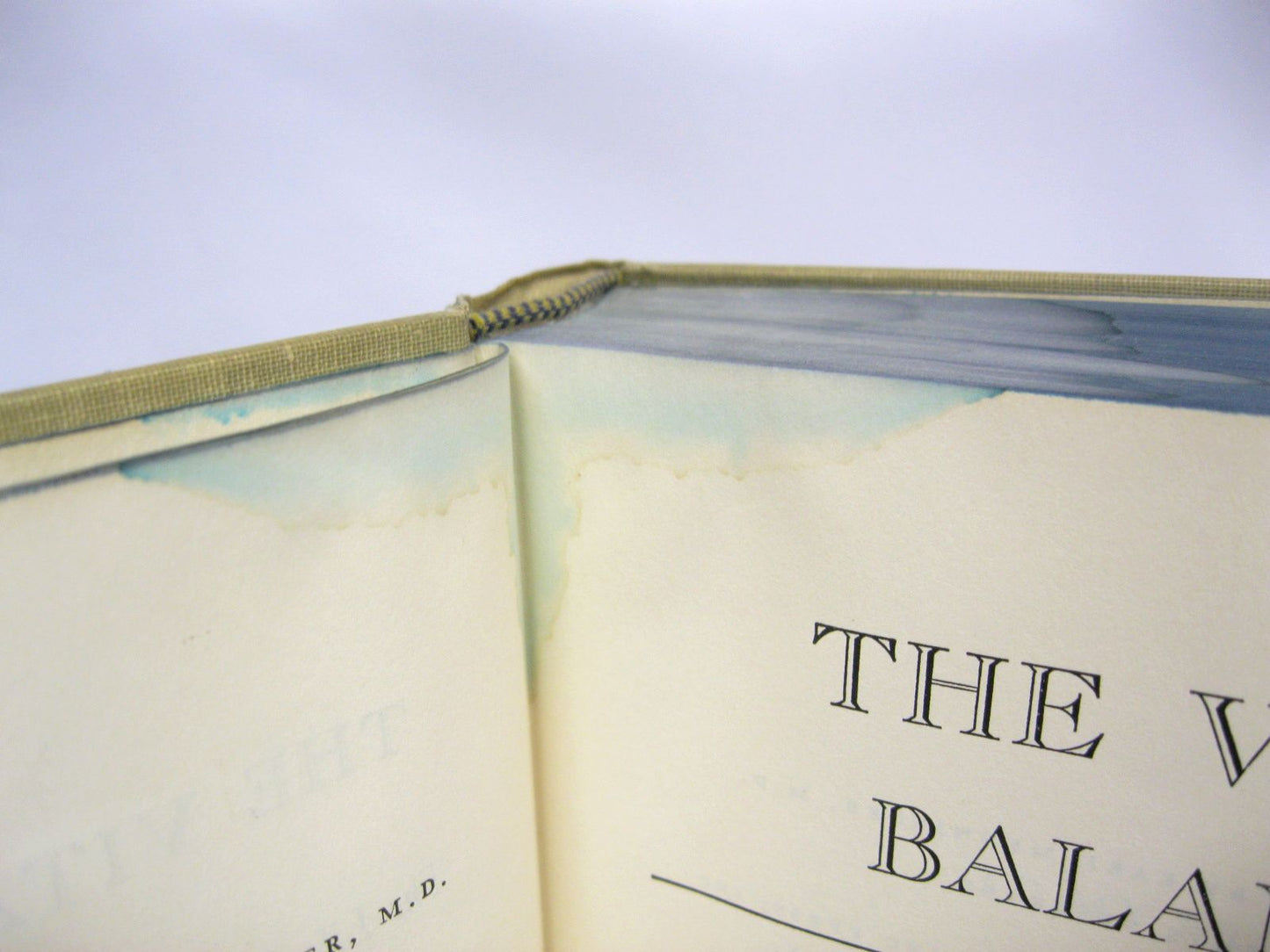The Vital Balance by Karl A. Menninger