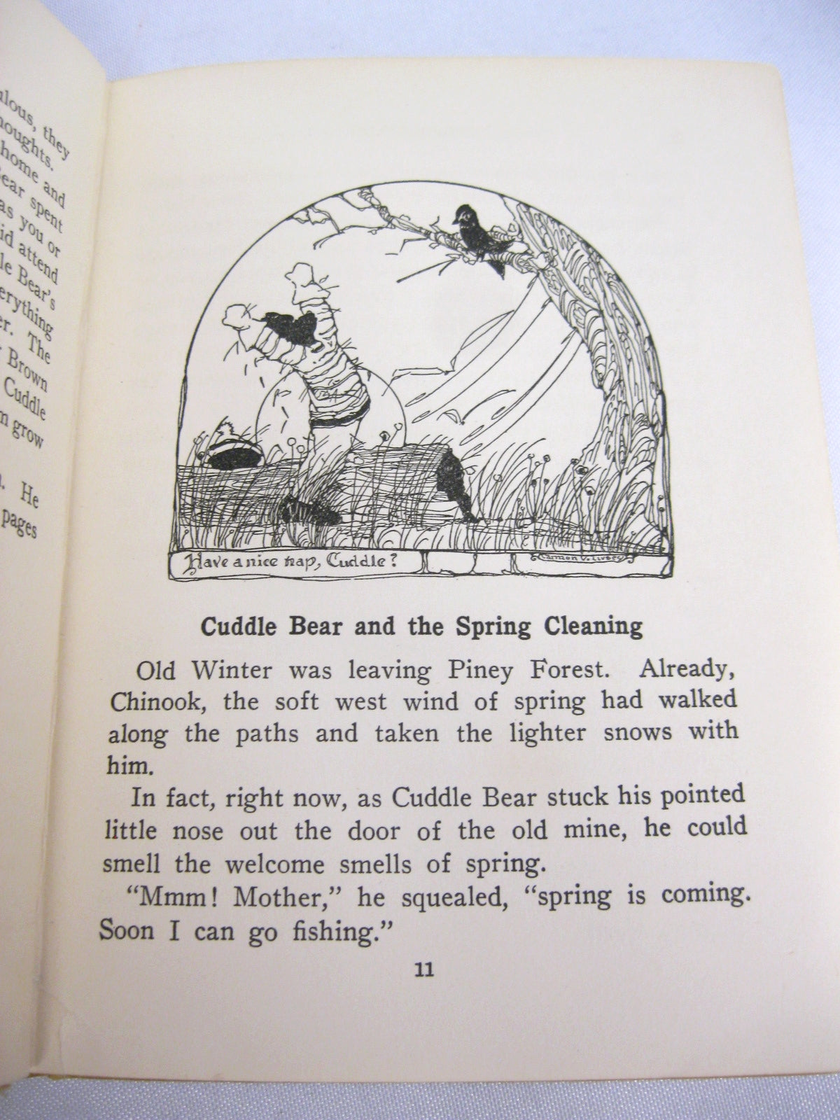 Cuddle Bear of Piney Forest by Anne M. Halladay