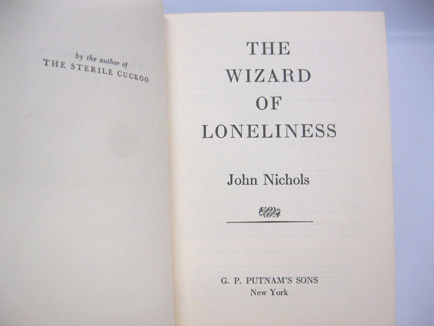 The Wizard of Loneliness by John Nichols