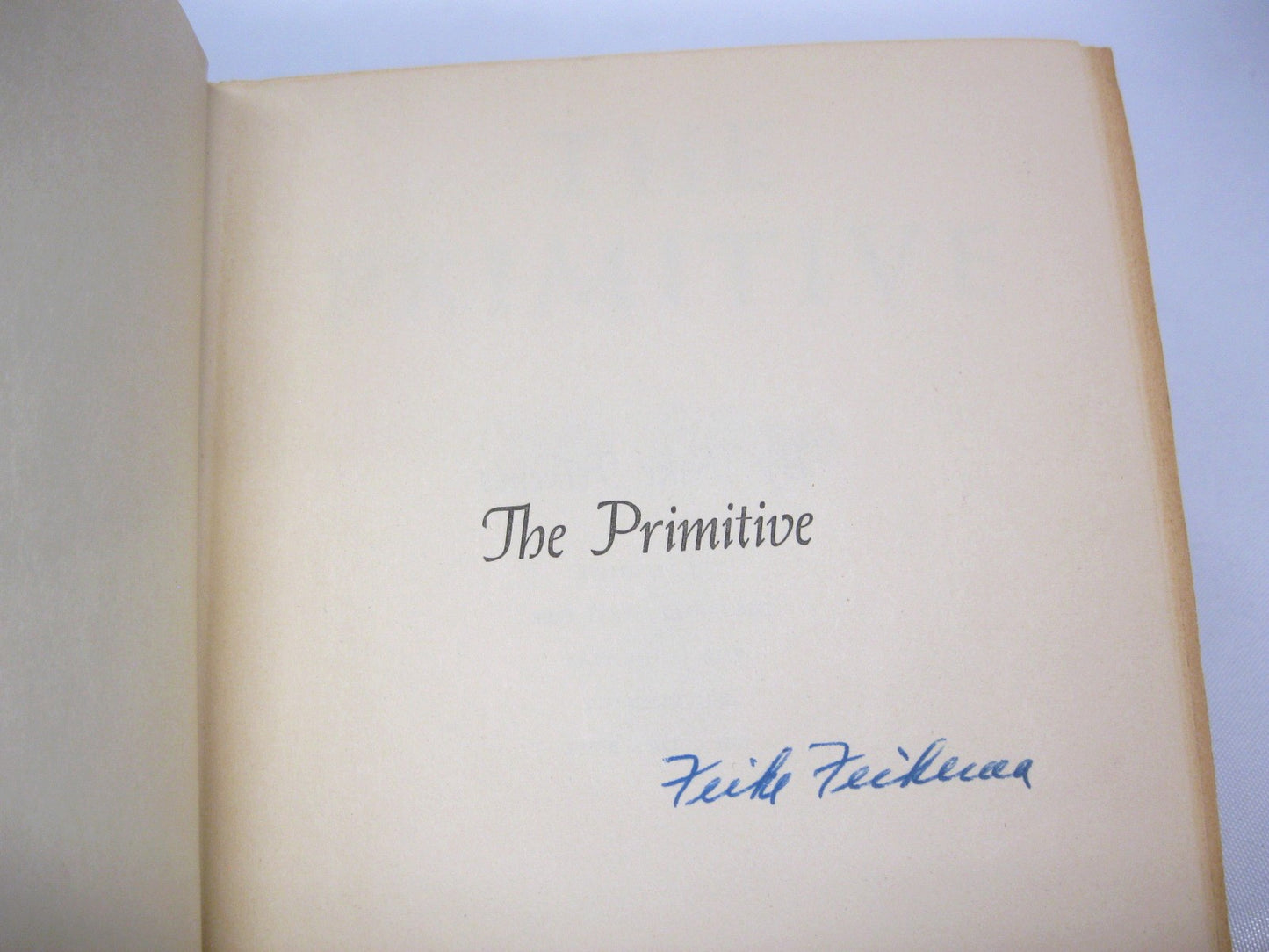 The Primitive by Feike Feikema